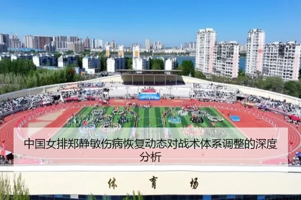 中国女排郑静敏伤病恢复动态对战术体系调整的深度分析